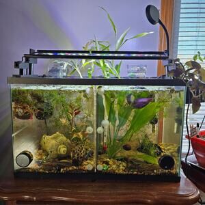 Aqua Hydroponic Aquarium KIT Staggered Light Risers Water Purifying Baskets Pots